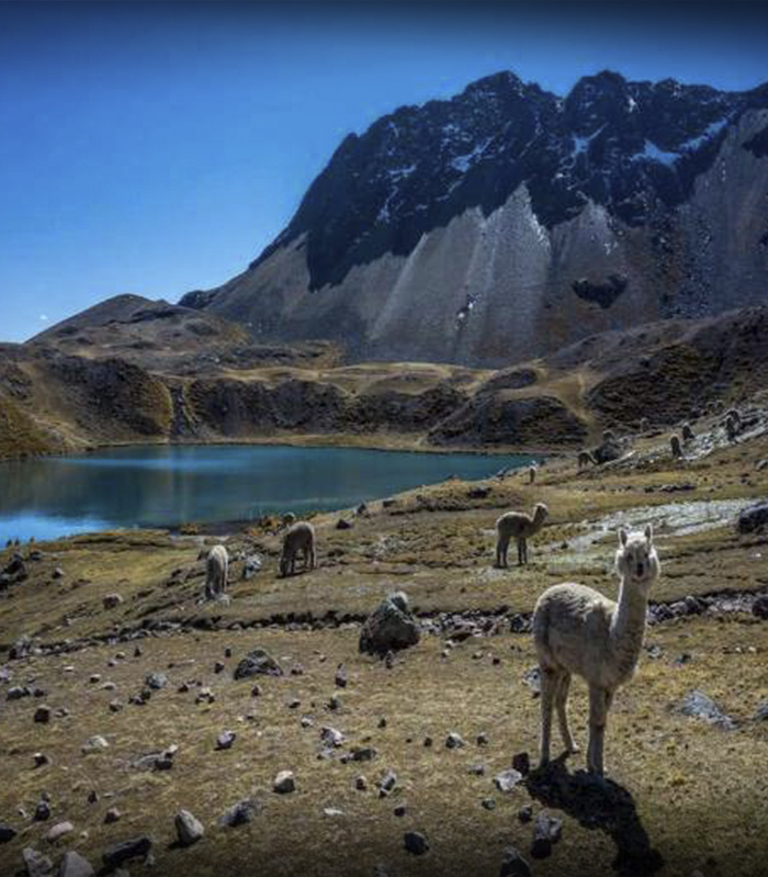 ausangate trek cusco peru machu picchu 1
